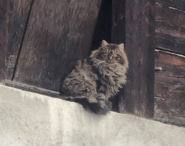 Bildschirmfoto 2020-02-02 um 13.02.32